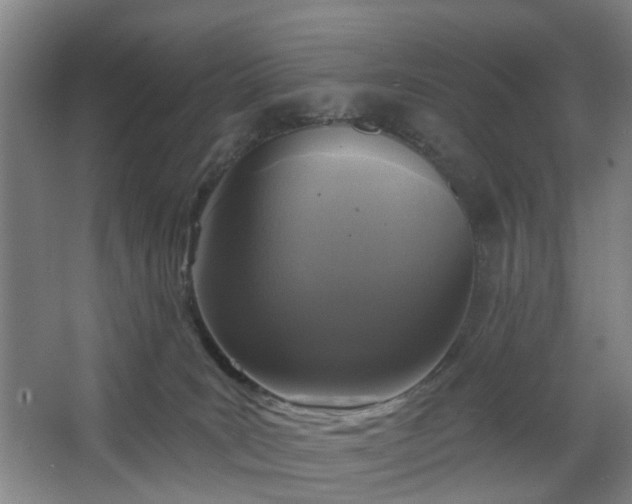 X0000067920035200604201442