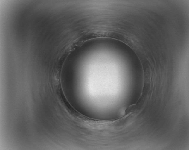 X0000067920040200604201442