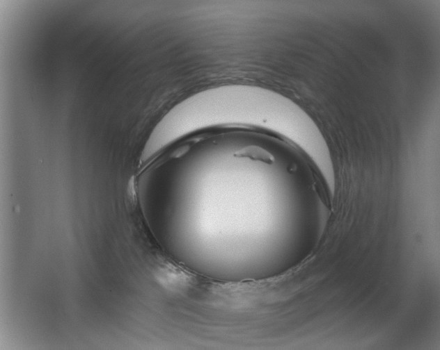 X0000067920041200604201442