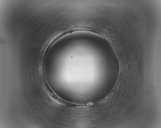 X0000067920050200604201441
