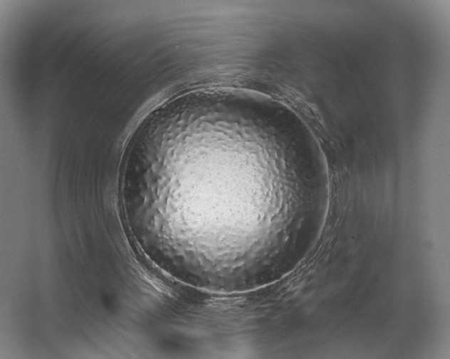 X0000067920051200604201441