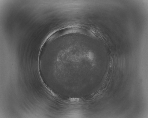 X0000067920052200604201441