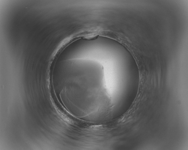 X0000067920054200604201441