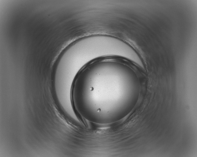 X0000067920060200604201441