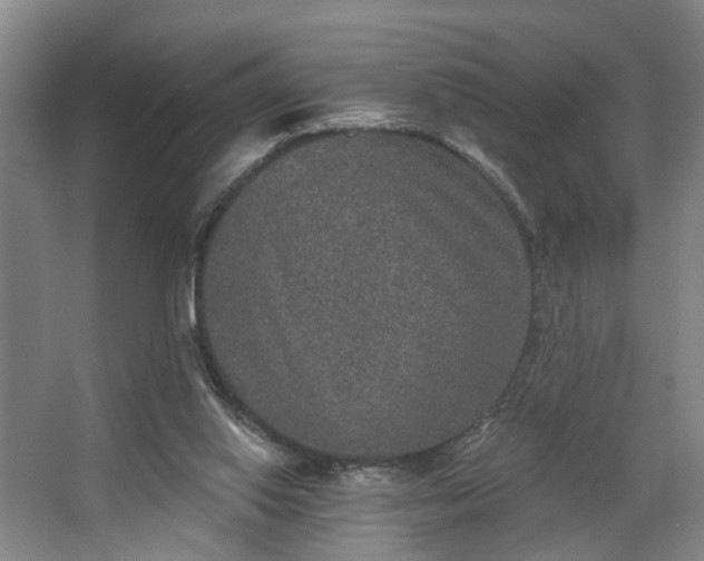X0000067920062200604201441