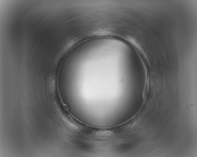X0000067920063200604201441