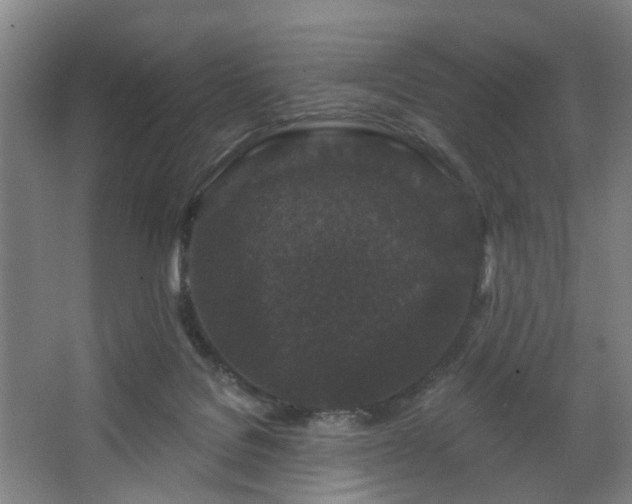 X0000067920076200604201441