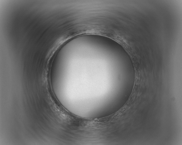 X0000067920098200604201441