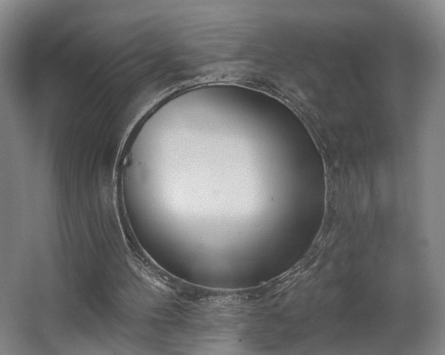 X0000067920100200604201441