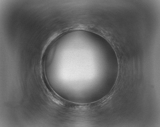 X0000067920102200604201441