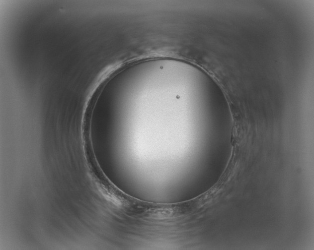 X0000067920104200604201441