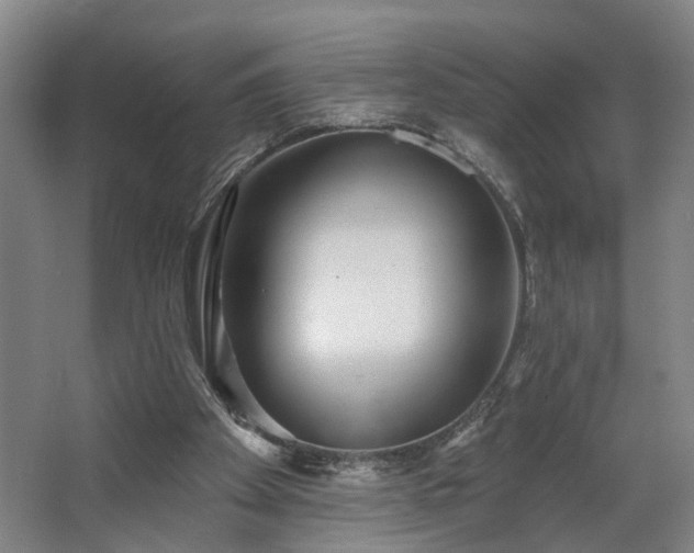 X0000067920105200604201441