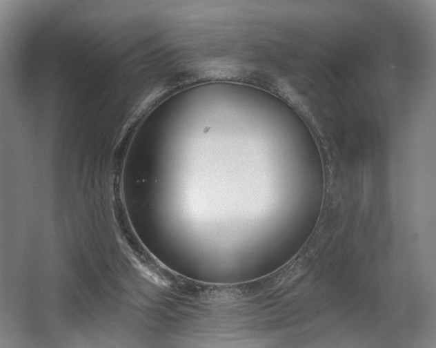 X0000067920106200604201441