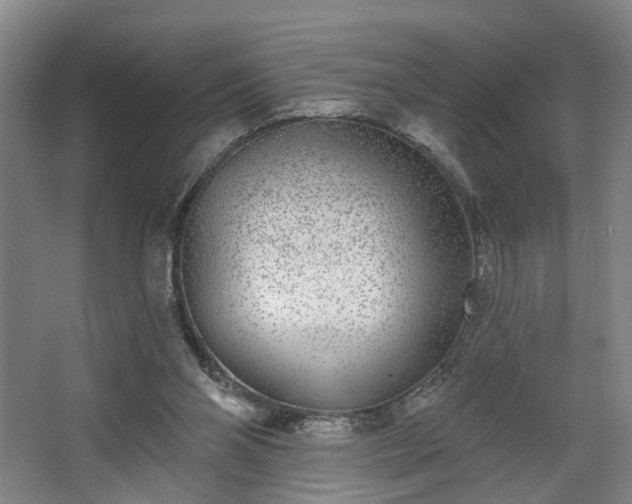 X0000067920110200604201440