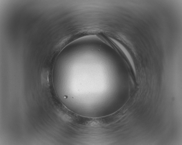 X0000067920115200604201440