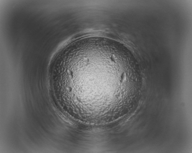 X0000067920149200604201439