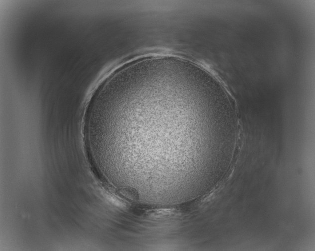 X0000067920151200604201439