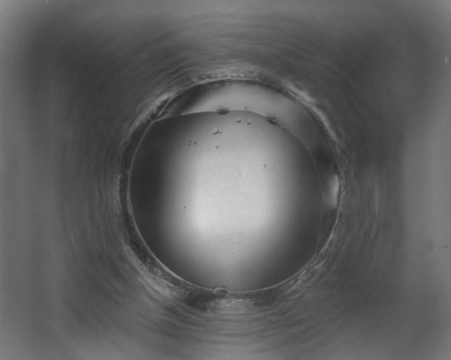 X0000067920154200604201439