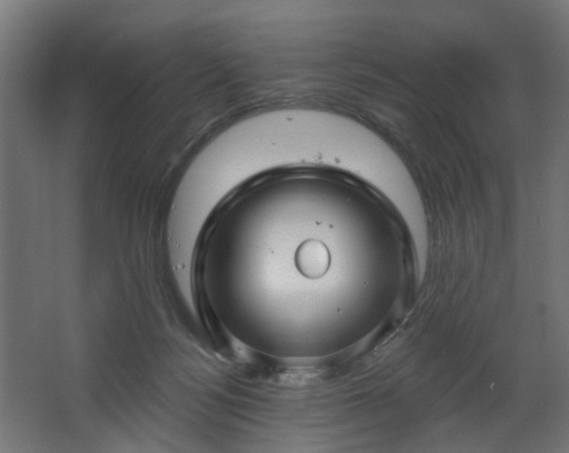 X0000067920172200604201440