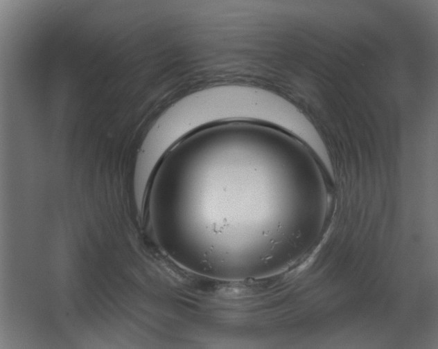 X0000067920174200604201440
