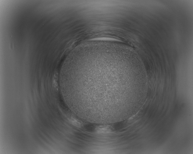 X0000067920175200604201440