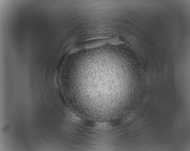 X0000067920185200604201440