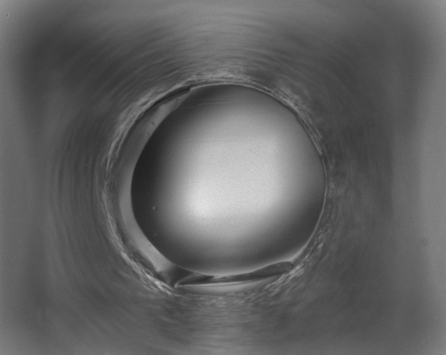 X0000067920193200604201439