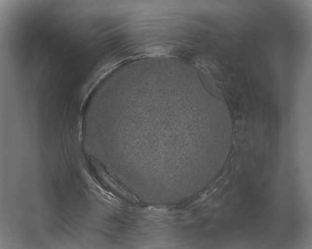 X0000067920194200604201439