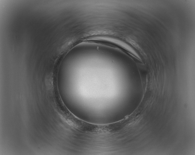 X0000067920207200604201439