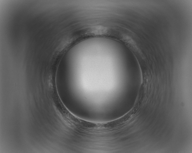 X0000067920212200604201439
