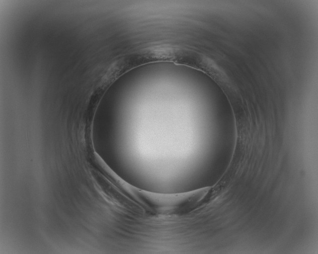 X0000067920213200604201439
