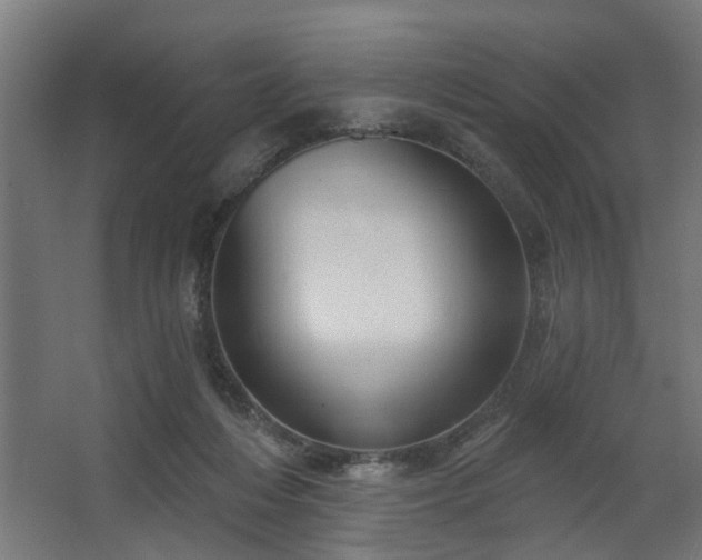 X0000067920216200604201439