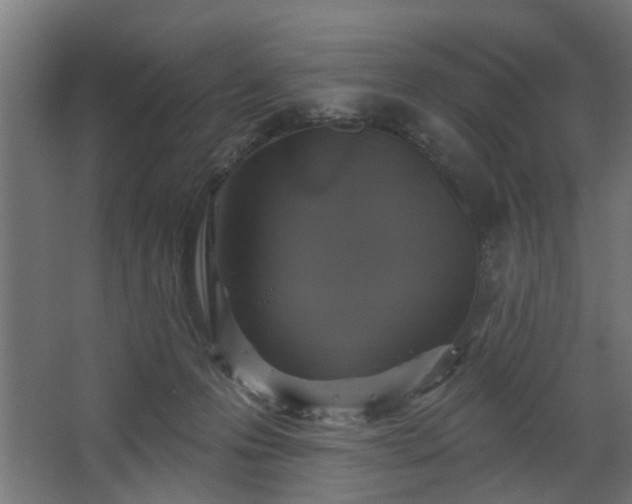 X0000067920223200604201439