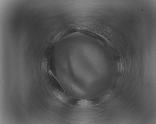 X0000067920231200604201438