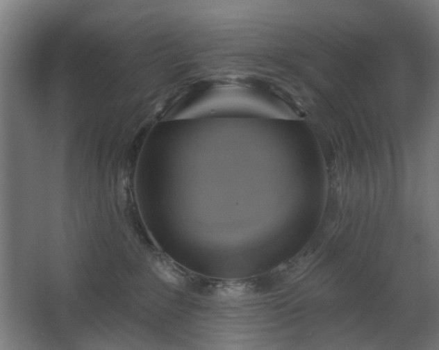 X0000067920235200604201438