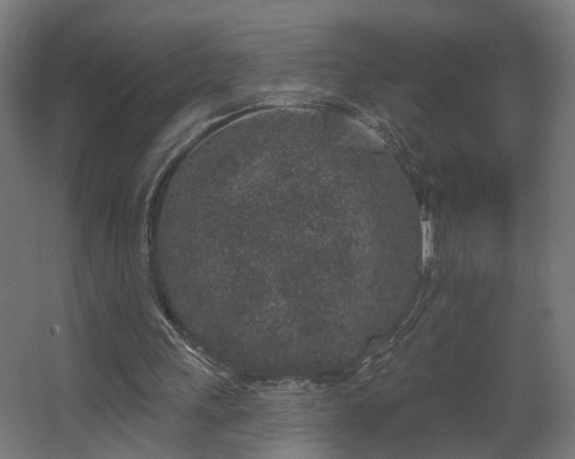 X0000067920243200604201437