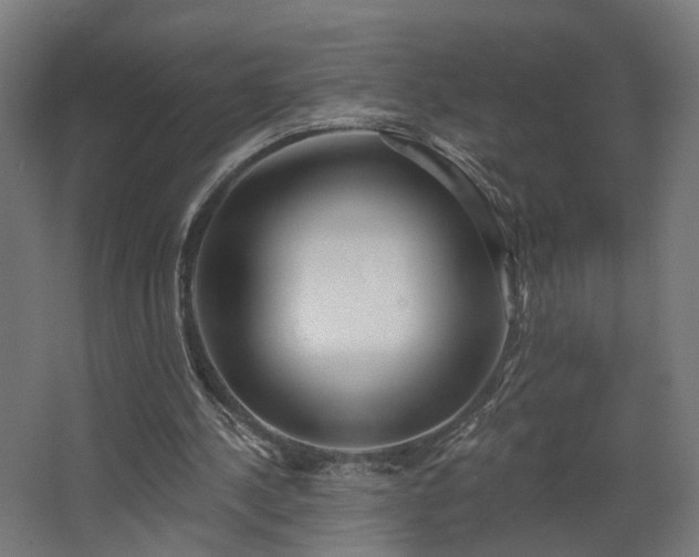 X0000067920244200604201438