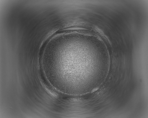 X0000067920250200604201438