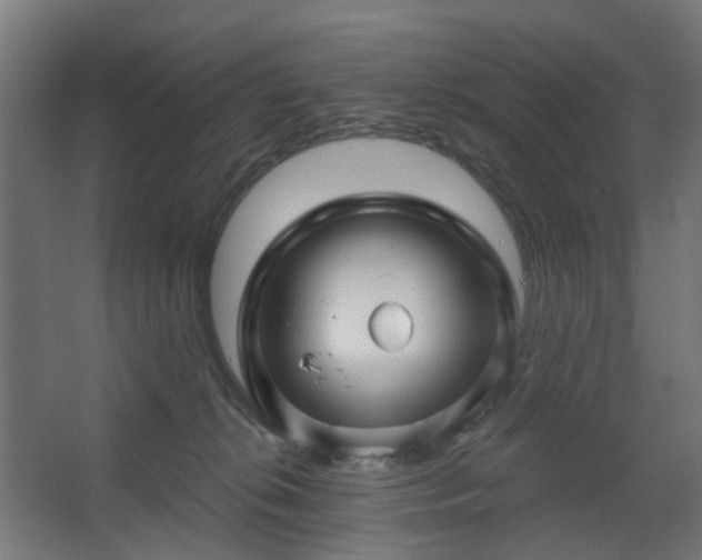 X0000067920276200604201438