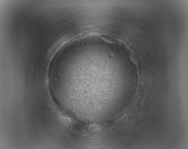 X0000067920290200604201437