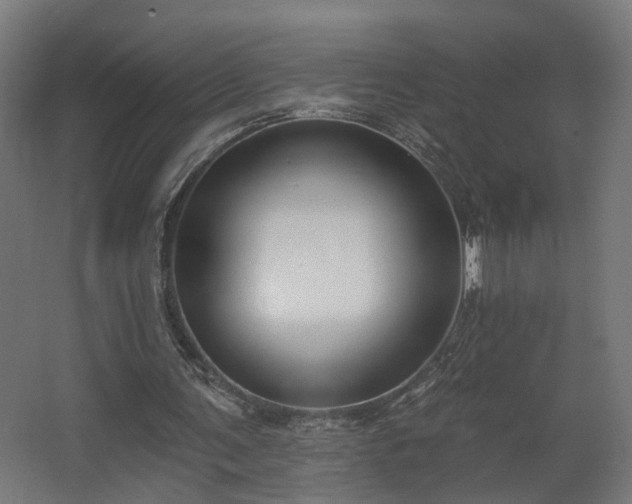 X0000067920291200604201437