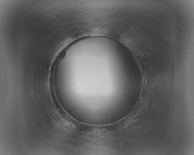 X0000067920292200604201437