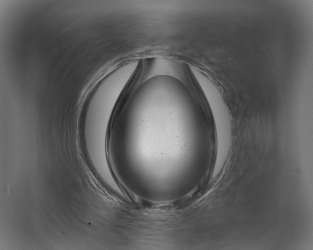 X0000067920293200604201437