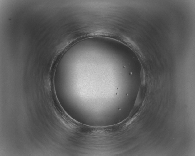 X0000067920298200604201437