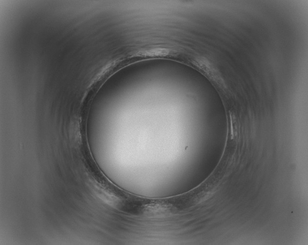 X0000067920300200604201437