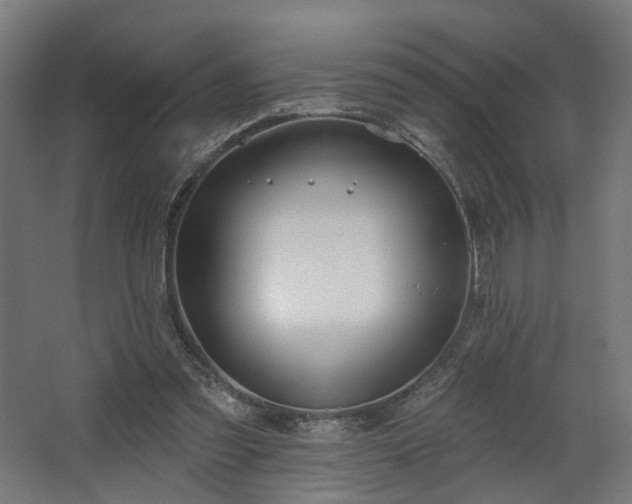 X0000067920301200604201437