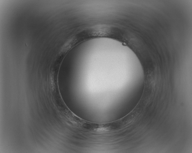 X0000067920312200604201437