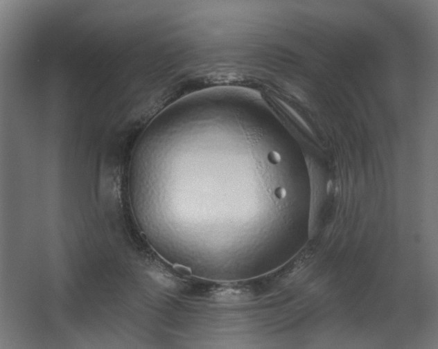 X0000067920315200604201437
