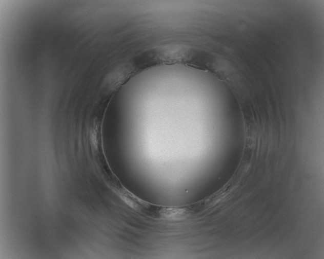 X0000067920334200604201437