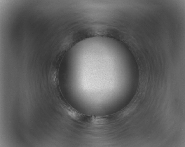 X0000067920336200604201437